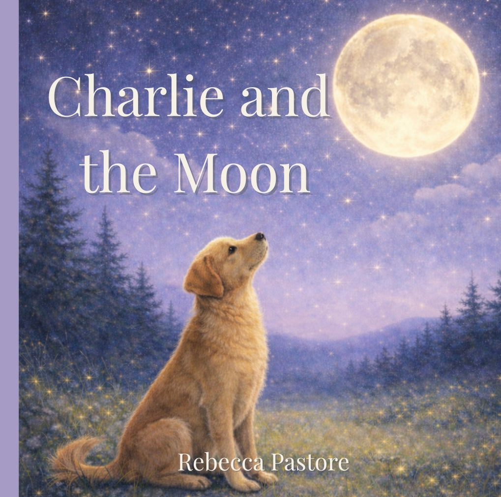 Charlie and the Moon Book